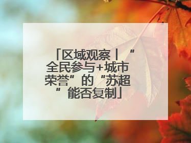 区域观察丨“全民参与+城市荣誉”的“苏超”能否复制