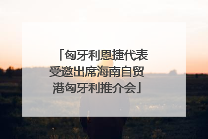 匈牙利恩捷代表受邀出席海南自贸港匈牙利推介会