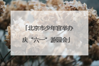 北京市少年宫举办庆“六一”游园会