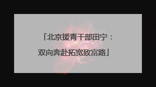 北京援青干部田宁：双向奔赴拓宽致富路