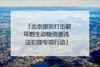 北京部署打击破坏野生动物资源违法犯罪专项行动