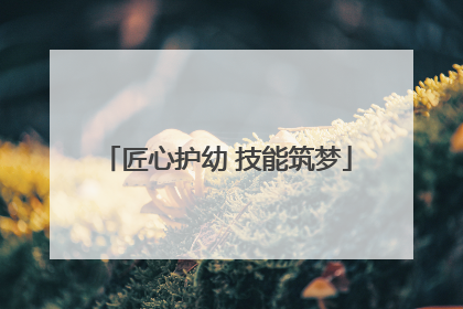 匠心护幼 技能筑梦
