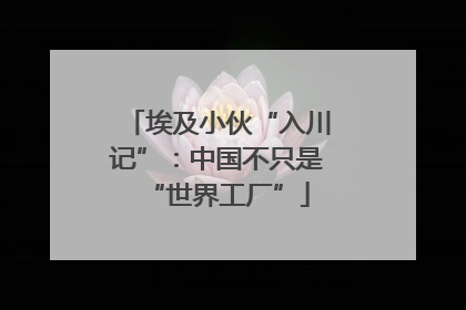 埃及小伙“入川记”：中国不只是“世界工厂”