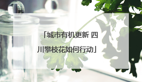 城市有机更新 四川攀枝花如何行动