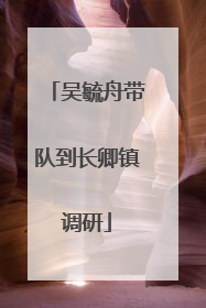 吴毓舟带队到长卿镇调研