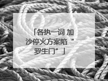 各执一词 加沙停火方案陷“罗生门”
