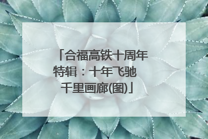 合福高铁十周年特辑：十年飞驰 千里画廊(图)