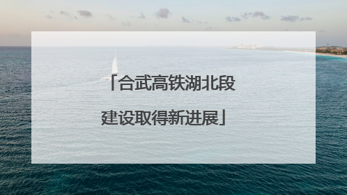 合武高铁湖北段建设取得新进展