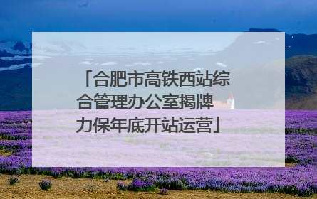 合肥市高铁西站综合管理办公室揭牌 力保年底开站运营