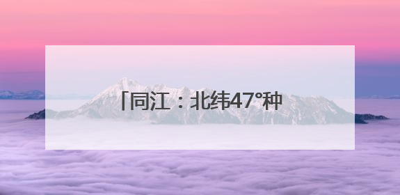 同江：北纬47°种出“黄金产业” 软枣猕猴桃9月上市