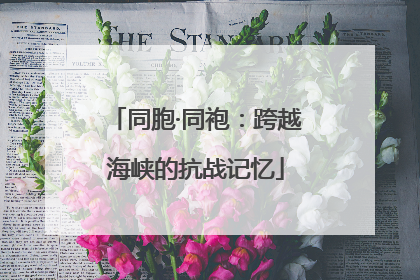 同胞·同袍：跨越海峡的抗战记忆