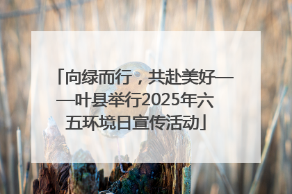 向绿而行，共赴美好——叶县举行2025年六五环境日宣传活动