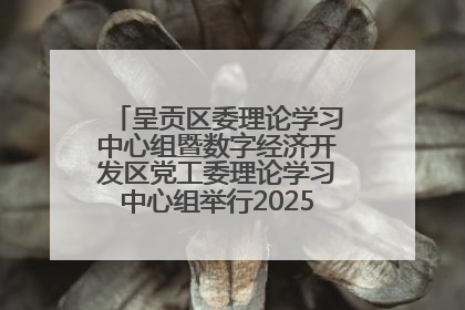呈贡区委理论学习中心组暨数字经济开发区党工委理论学习中心组举行2025年第七次学习会议