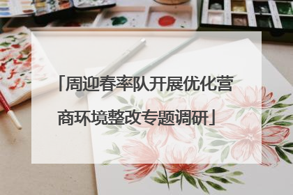 周迎春率队开展优化营商环境整改专题调研