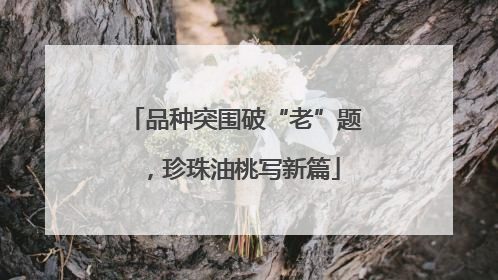 品种突围破“老”题，珍珠油桃写新篇
