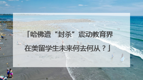 哈佛遭“封杀”震动教育界 在美留学生未来何去何从？