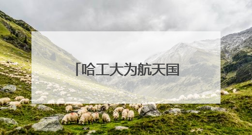 哈工大为航天国之重器打造高可靠“神经元”