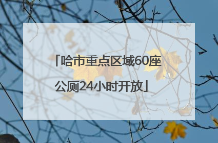 哈市重点区域60座公厕24小时开放