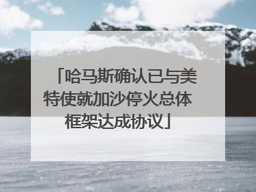 哈马斯确认已与美特使就加沙停火总体框架达成协议