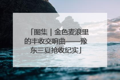 图集｜金色麦浪里的丰收交响曲——豫东三夏抢收纪实