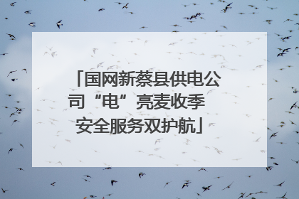 国网新蔡县供电公司“电”亮麦收季 安全服务双护航