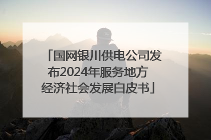 国网银川供电公司发布2024年服务地方经济社会发展白皮书