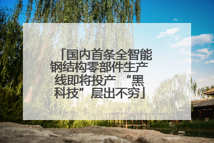 国内首条全智能钢结构零部件生产线即将投产 “黑科技”层出不穷