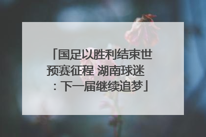 国足以胜利结束世预赛征程 湖南球迷：下一届继续追梦