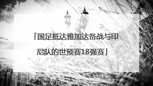 国足抵达雅加达备战与印尼队的世预赛18强赛