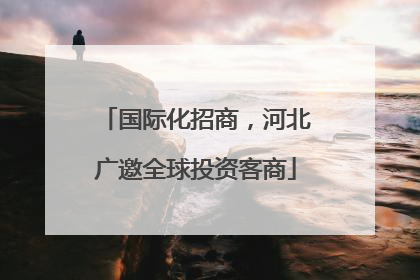 国际化招商，河北广邀全球投资客商