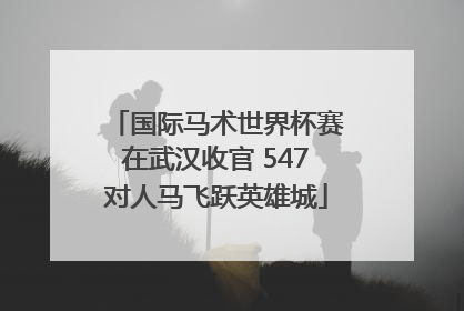 国际马术世界杯赛在武汉收官 547对人马飞跃英雄城