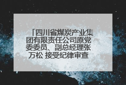 四川省煤炭产业集团有限责任公司原党委委员、副总经理张万松 接受纪律审查和监察调查