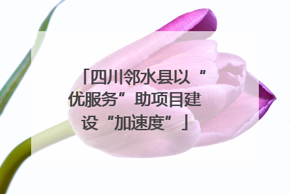 四川邻水县以“优服务”助项目建设“加速度”