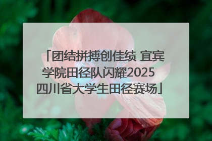 团结拼搏创佳绩 宜宾学院田径队闪耀2025四川省大学生田径赛场