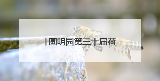圆明园第三十届荷花节开幕，首次推出“荷梅”双花展