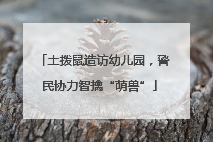 土拨鼠造访幼儿园，警民协力智擒“萌兽”