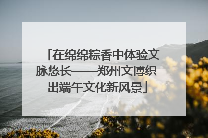 在绵绵粽香中体验文脉悠长——郑州文博织出端午文化新风景