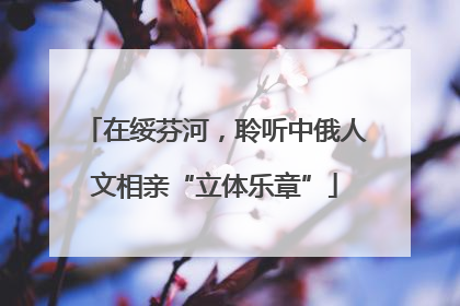 在绥芬河，聆听中俄人文相亲“立体乐章”