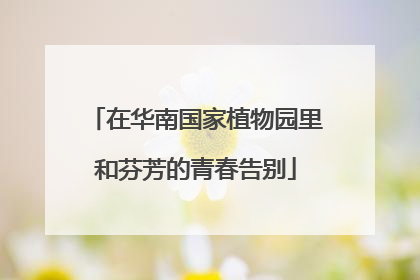 在华南国家植物园里和芬芳的青春告别