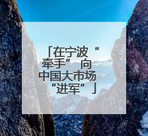 在宁波“牵手” 向中国大市场“进军”