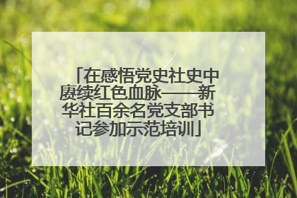 在感悟党史社史中赓续红色血脉——新华社百余名党支部书记参加示范培训
