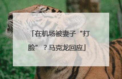 在机场被妻子“打脸”？马克龙回应