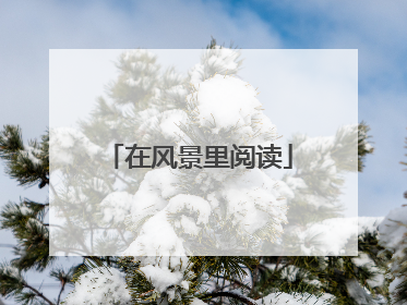 在风景里阅读