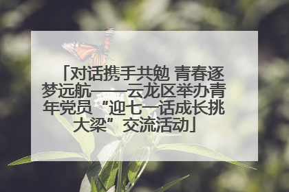 对话携手共勉 青春逐梦远航——云龙区举办青年党员“迎七一话成长挑大梁”交流活动