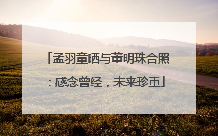 孟羽童晒与董明珠合照：感念曾经，未来珍重