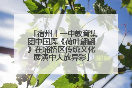 宿州十一中教育集团中国舞《荷叶翩翩》在埇桥区传统文化展演中大放异彩