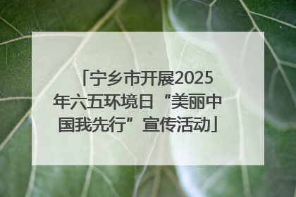 宁乡市开展2025年六五环境日“美丽中国我先行”宣传活动