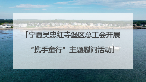 宁夏吴忠红寺堡区总工会开展“携手童行”主题慰问活动