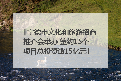 宁德市文化和旅游招商推介会举办 签约15个项目总投资逾15亿元