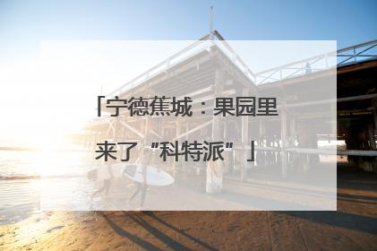 宁德蕉城：果园里来了“科特派”
